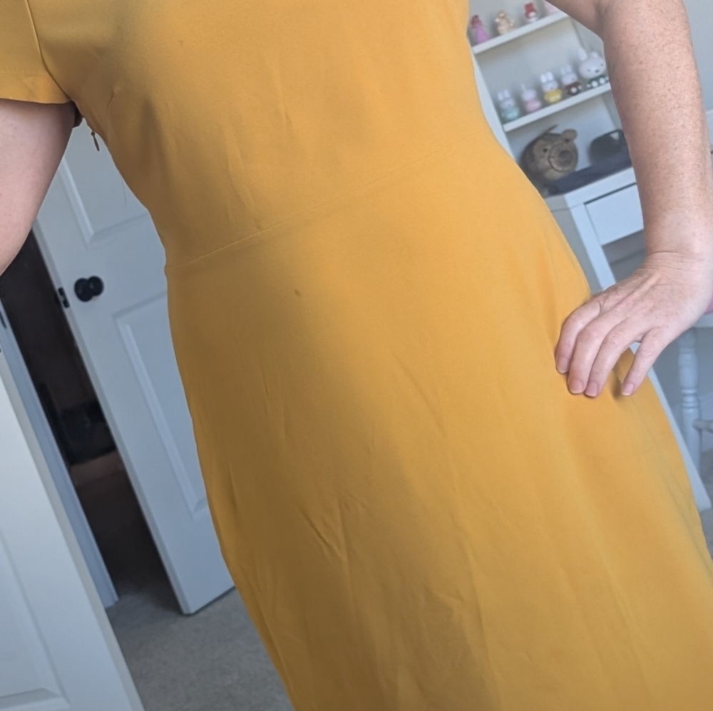 NWOT Mustard Banana Republic Dress Size 6 - Picture 5 of 6